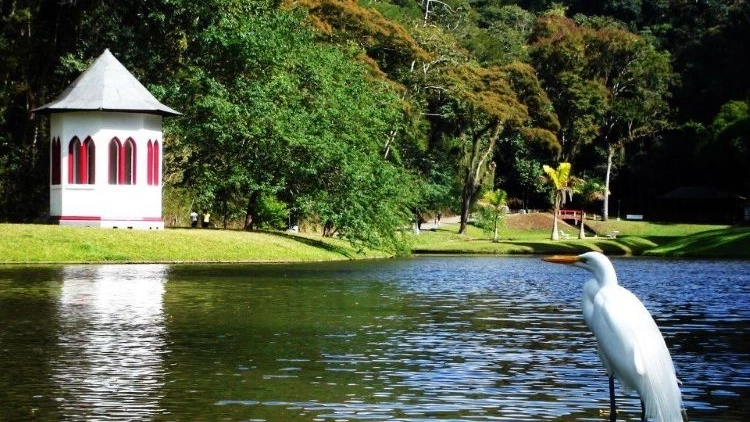 Um dia em Nova Friburgo - Privativo